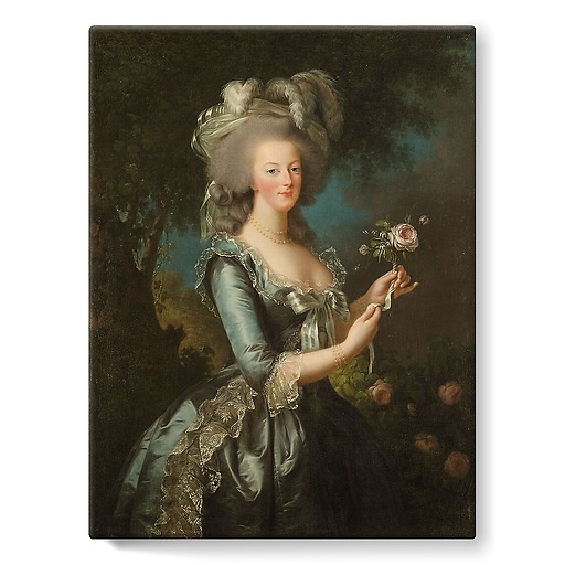 La reine Marie-Antoinette dit "à la Rose" (toiles sur châssis)