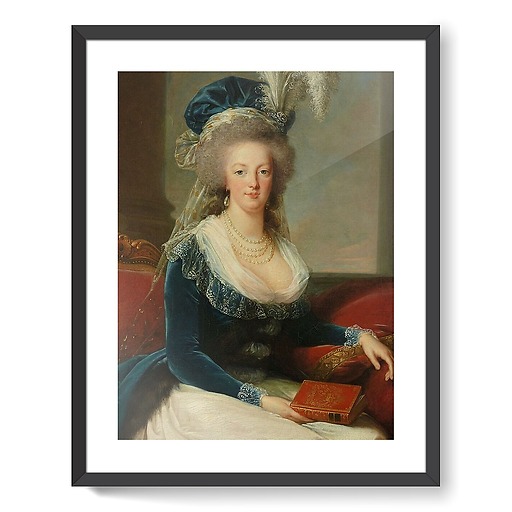 Queen Marie-Antoinette sitting, in a blue coat and white dress, holding a book in her hand (framed art prints)