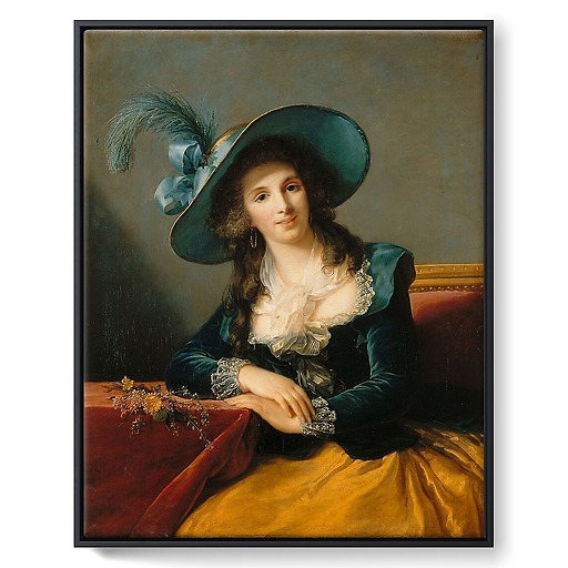 Antoinette-Elisabeth-Marie d'Aguesseau, comtesse de Ségur (toiles encadrées)