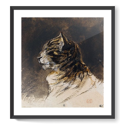 Cat head (framed art prints)