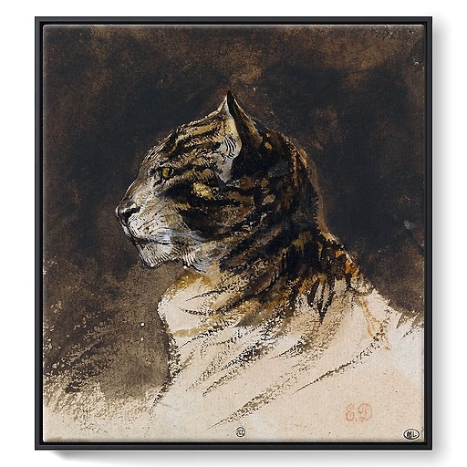 Cat head (framed canvas)