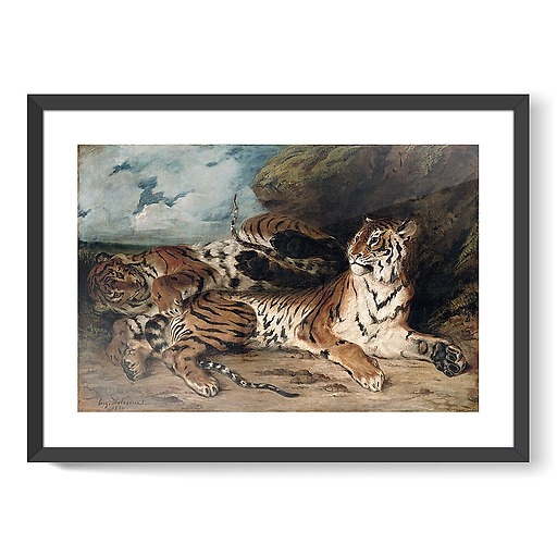 Étude de deux tigres, dit aussi Jeune tigre jouant avec sa mère (affiches d'art encadrées)