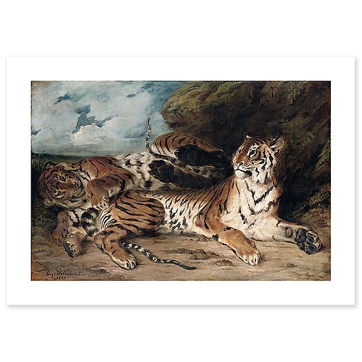Study of two tigers, also known as Young Tiger playing with his mother (canvas without frame)