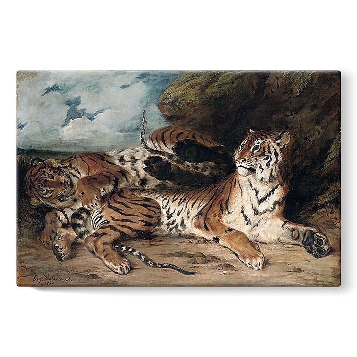 Study of two tigers, also known as Young Tiger playing with his