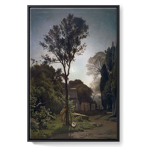 Orphée (framed canvas)