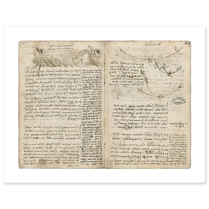 Phénomènes tourbillonnaires et ondulatoires, schéma d'interférences d'ondes circulaires (affiches d'art)