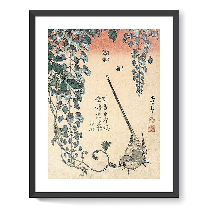 Bergeronnette et glycine (framed art prints)