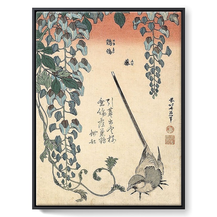 Bergeronnette et glycine (framed canvas)