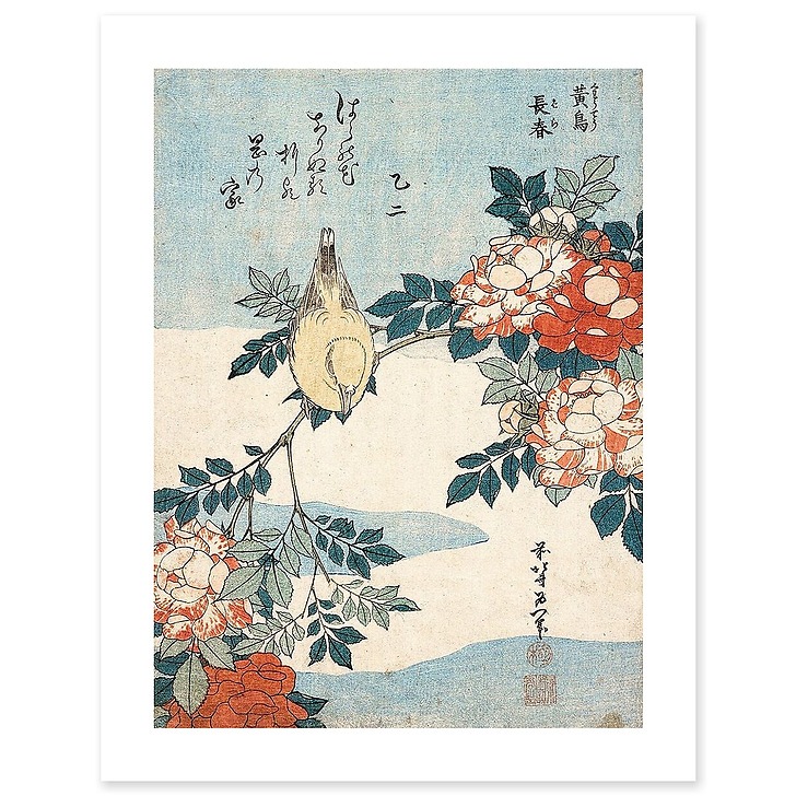 Rossignol et rosier (art prints)