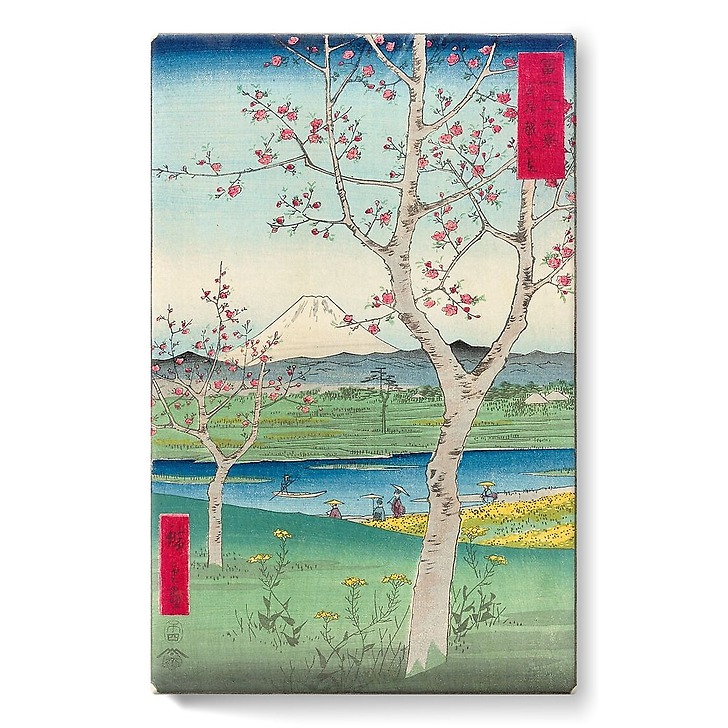 Musashi Koshigaya zai (stretched canvas)