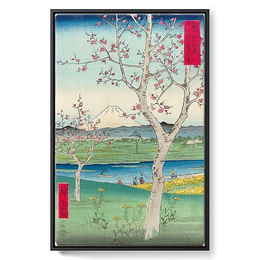 Musashi Koshigaya zai (framed canvas)