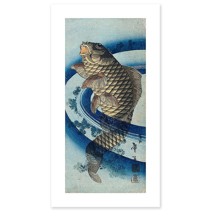 Carpe remontant le courant (art prints)