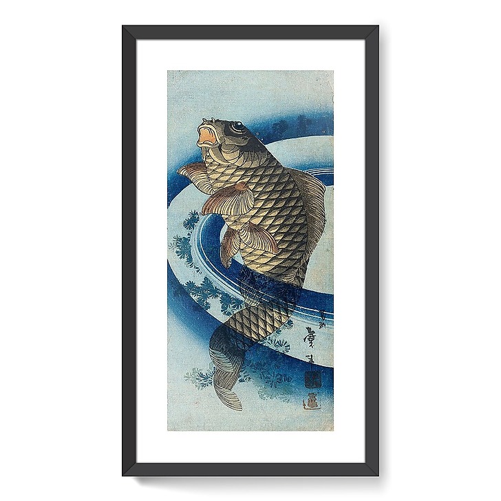 Carpe remontant le courant (framed art prints)