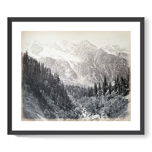 Wanga valley and glacier (Abies Webbiana) [Himachal Pradesh. Vallée de Wanga et glaciers], 1866 (affiches d'art encadrées)