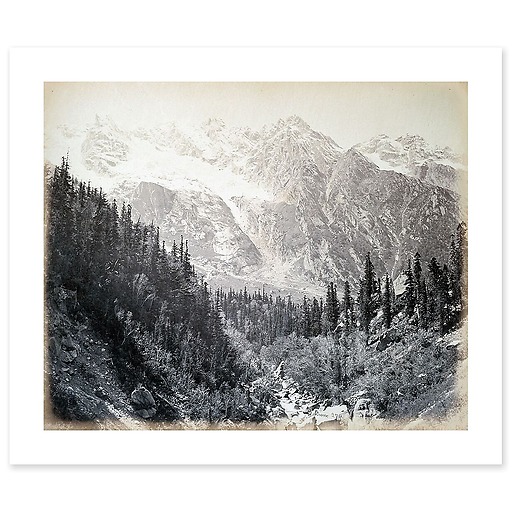 Wanga valley and glacier (Abies Webbiana) [Himachal Pradesh. Vallée de Wanga et glaciers], 1866 (canvas without frame)