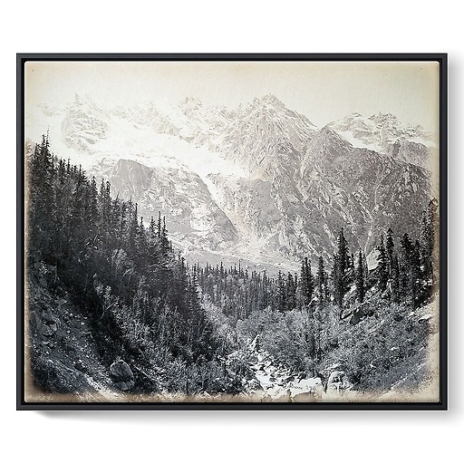 Wanga valley and glacier (Abies Webbiana) [Himachal Pradesh. Vallée de Wanga et glaciers], 1866 (toiles encadrées)