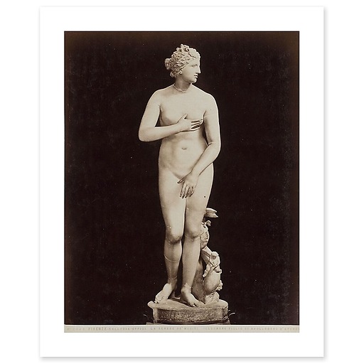 Firenze - Galleria Uffizi, la Venere de' Medici (Cléomène) (toiles sans cadre)