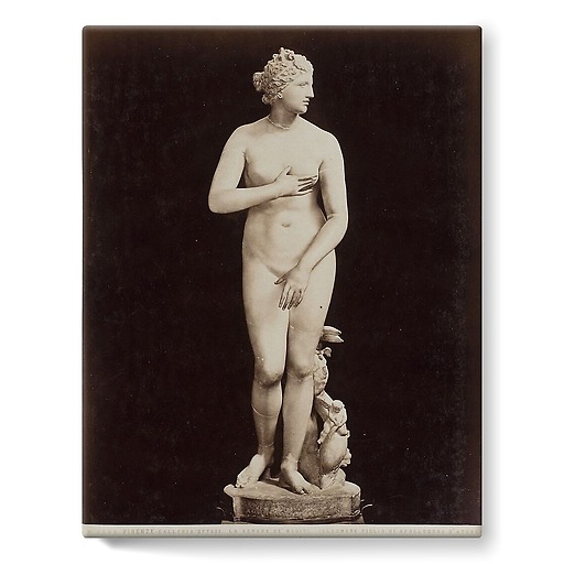 Firenze - Galleria Uffizi, la Venere de' Medici (Cléomène) (toiles sur châssis)
