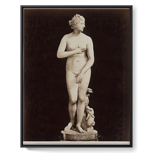 Firenze - Galleria Uffizi, la Venere de' Medici (Cléomène) (toiles encadrées)