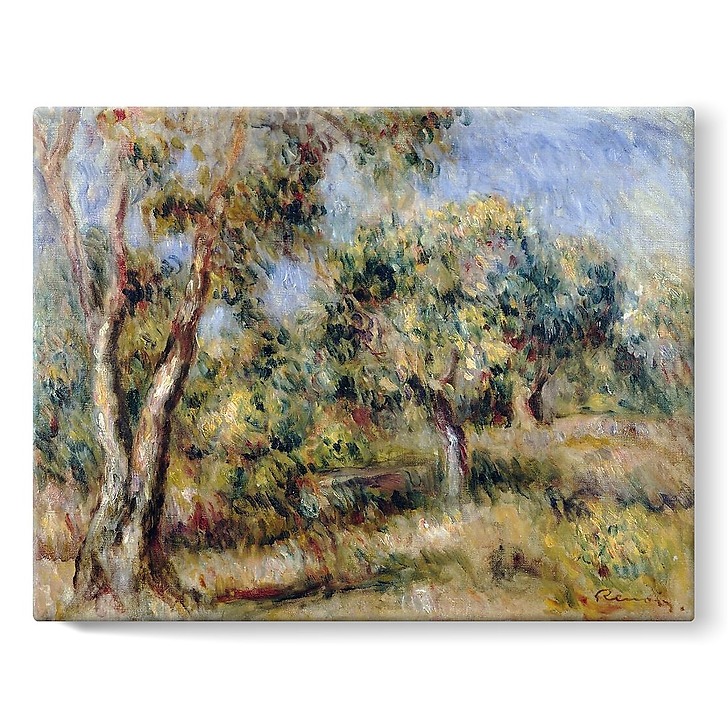 Paysage de Cagnes (toiles sur châssis)
