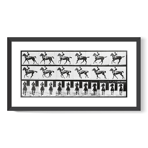 Cheval au galop (framed art prints)