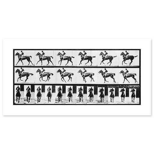 Cheval au galop (canvas without frame)