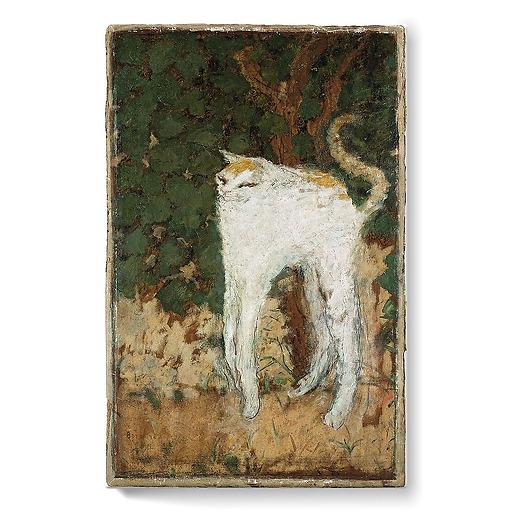 Le Chat blanc (détail) (stretched canvas)