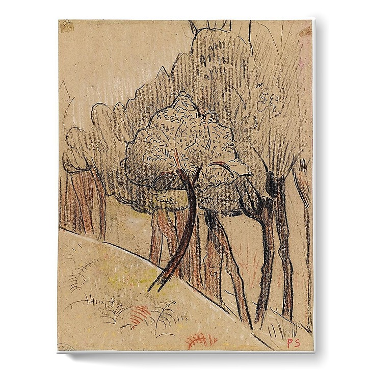 Orée d'un bois (toiles sur châssis)