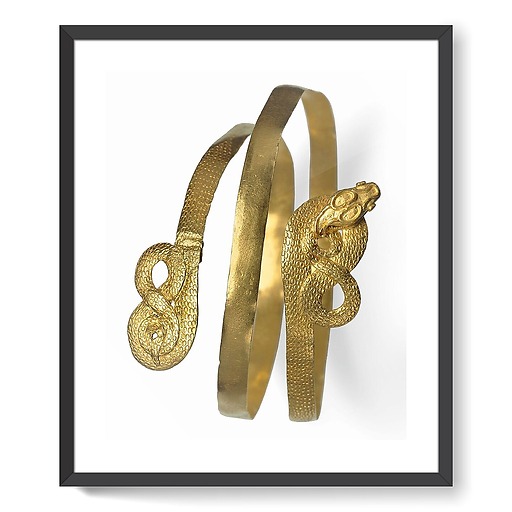 Bracelet serpentiforme (framed art prints)