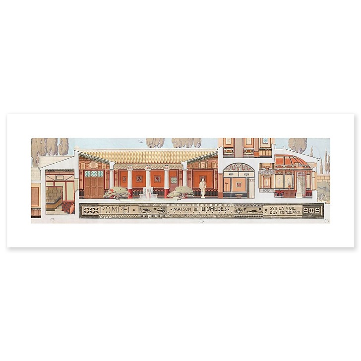 Maison de Diomède (art prints)