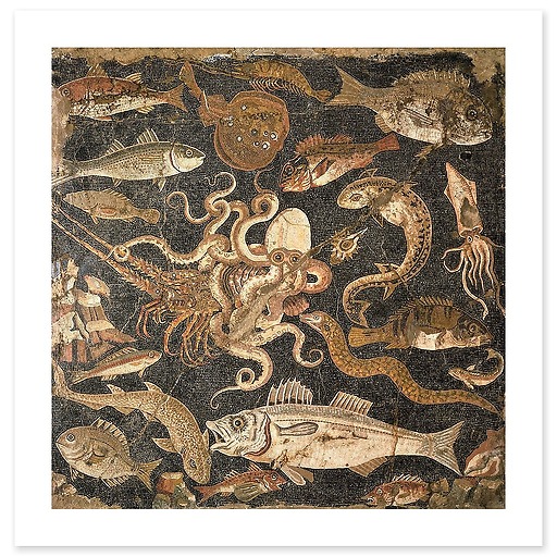 Mosaïque représentant une bataille entre une pieuvre et un homard (détail), IIe siècle avant J.-C. (art prints)