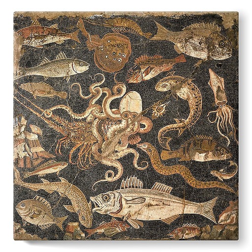 Mosaïque représentant une bataille entre une pieuvre et un homard (détail), IIe siècle avant J.-C. (toiles sur châssis)