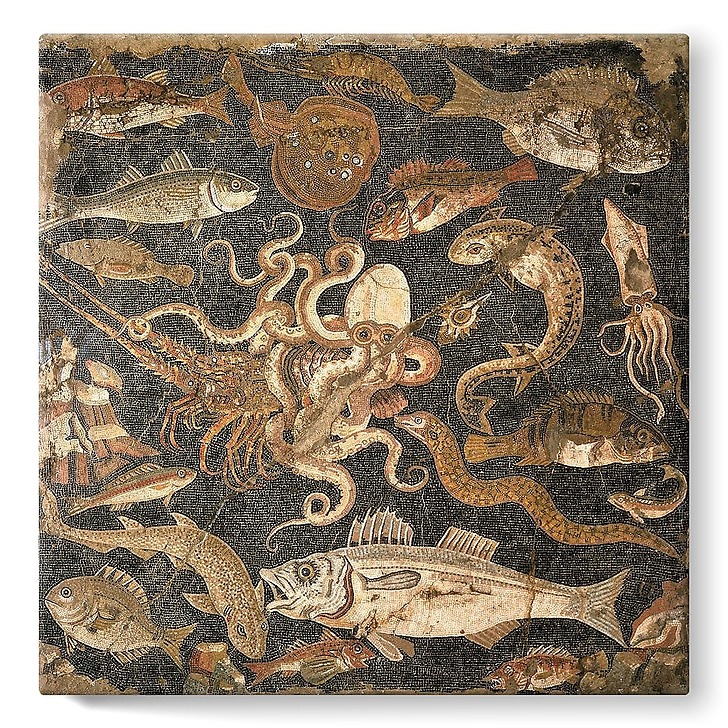 Mosaïque représentant une bataille entre une pieuvre et un homard (détail), IIe siècle avant J.-C. (stretched canvas)