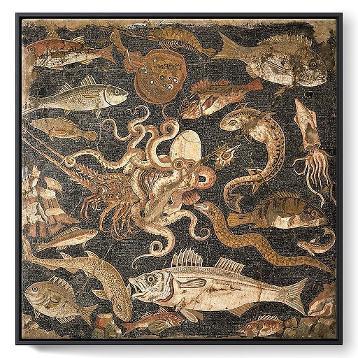 Mosaïque représentant une bataille entre une pieuvre et un homard (détail), IIe siècle avant J.-C. (framed canvas)