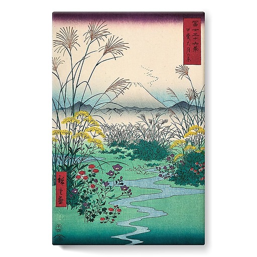 Champs de la plaine d'Otsuki, dans la province de Kai, 1797-1858 (stretched canvas)