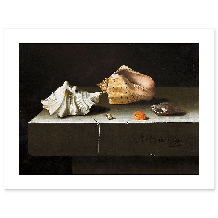 Cinq coquillages sur une tablette de pierre (affiches d'art)