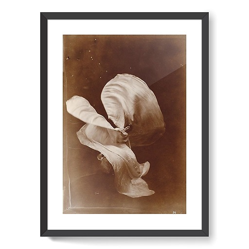 Mlle Loïe Fuller (framed art prints)