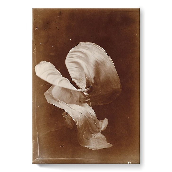 Mlle Loïe Fuller (stretched canvas)