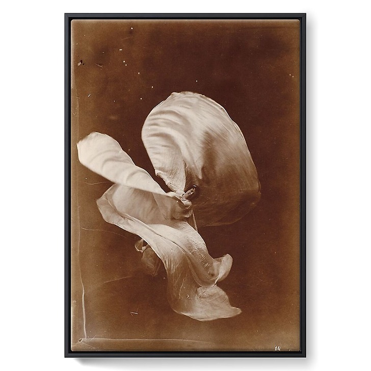 Mlle Loïe Fuller (toiles encadrées)