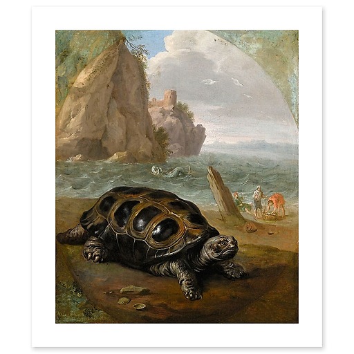 Tortue (canvas without frame)