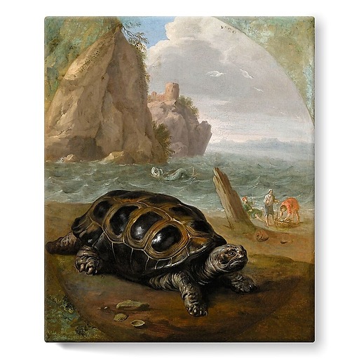Tortue (stretched canvas)