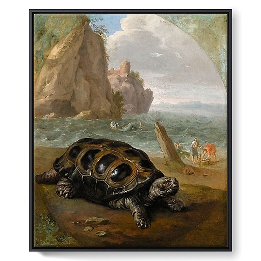 Tortue (framed canvas)