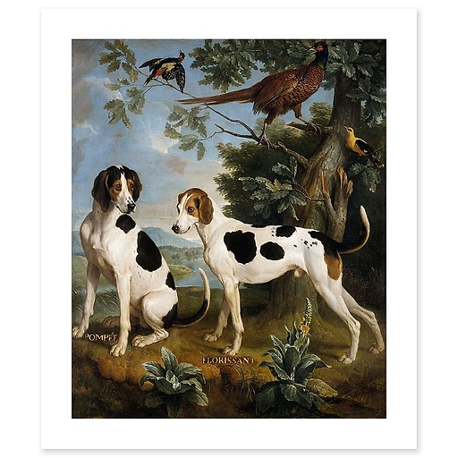 Pompée et Florissant, chiens de Louis XV (affiches d'art)