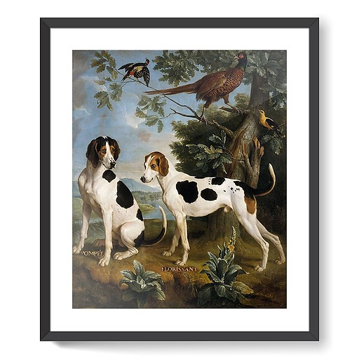Pompée et Florissant, chiens de Louis XV (affiches d'art encadrées)