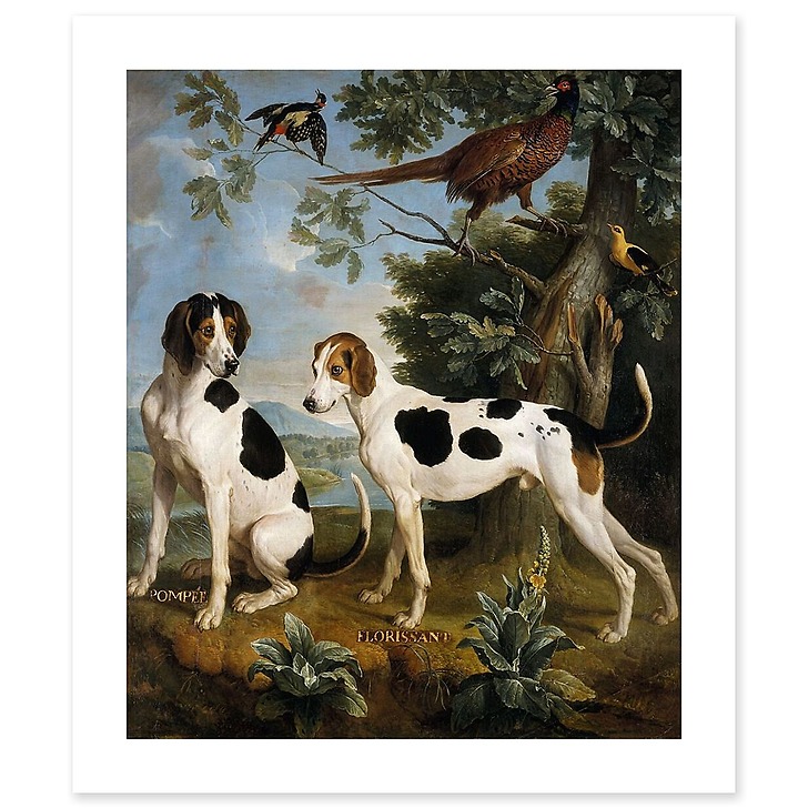 Pompée et Florissant, chiens de Louis XV (canvas without frame)