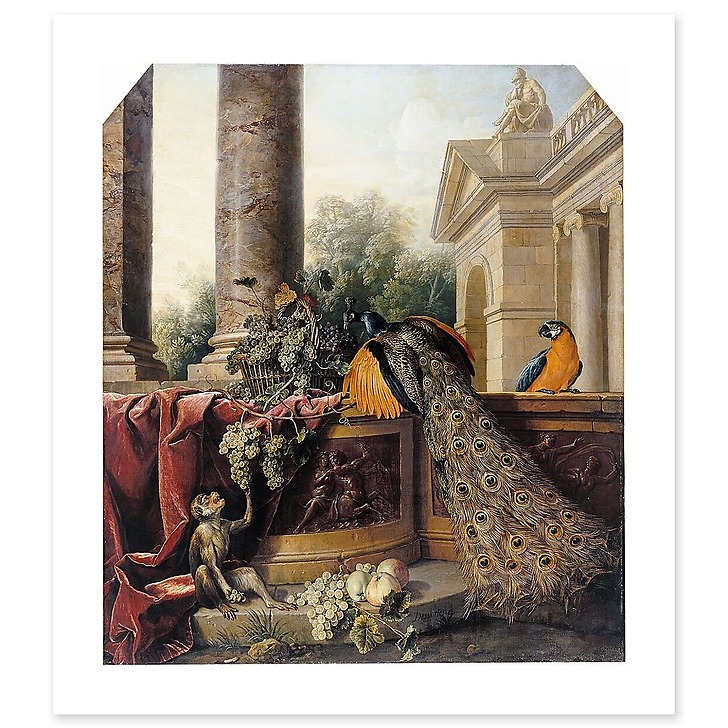 Paon, singe, fruits et bas-relief (affiches d'art)