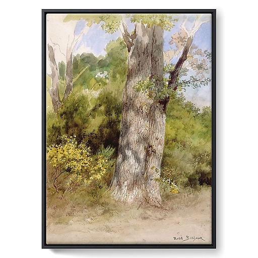 Le Gros Chêne (framed canvas)
