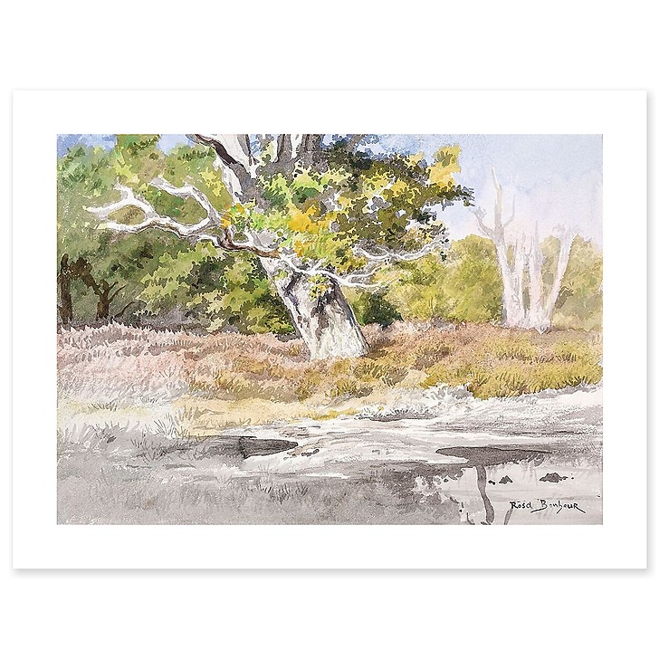 La Mare aux fées à Fontainebleau (canvas without frame)