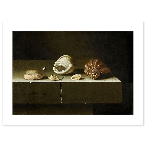 Six coquillages sur une table de pierre (affiches d'art)