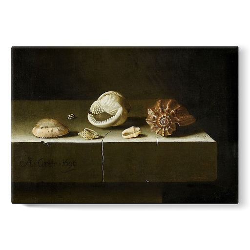 Six coquillages sur une table de pierre (toiles sur châssis)